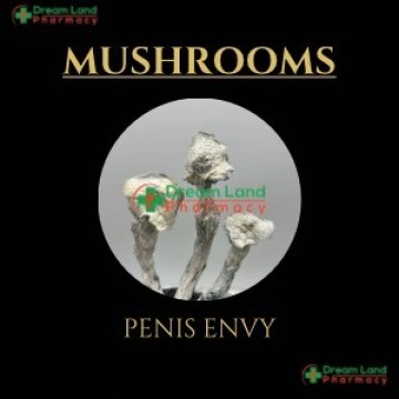 PENIS ENVY MUSHROOM